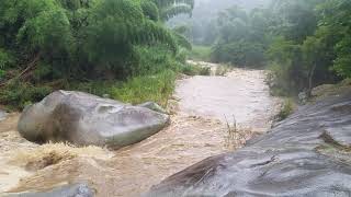 Piedra escrita Jayuya crecida del rio [upl. by Yuzik931]