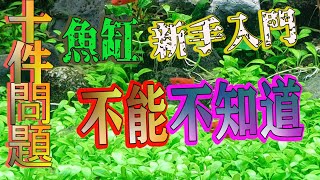 水草新手篇7想養簡單又漂亮的魚缸嗎那你不能不知道的十件事情 [upl. by Ronnholm]