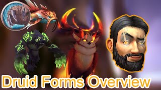 How to Obtain ALL Druid Forms  World of Warcraft Class Guides [upl. by Atsilac986]