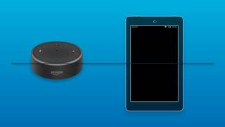 Amazonin Echo Dot Setup [upl. by Shaum]