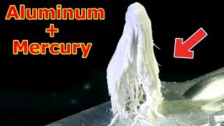 Mercury and Aluminum Are Combined Reaction What Happens Fascinating Experiments That Show [upl. by Kcirdlek]