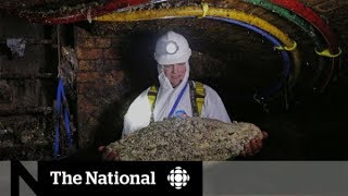 What is a fatberg [upl. by Losyram]