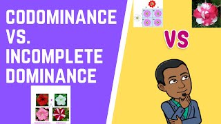 Codominance vs Incomplete Dominance [upl. by Salman30]