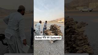 Dubai gaon ka system dubailife reel shortvideo shortsviral reelsvideo [upl. by Nueoras]