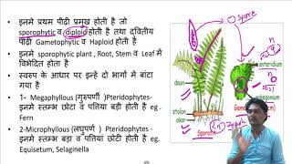 General Characters of Pteridophytes  1  टेरीडोफाइट्स के सामान्य लक्षण 1 [upl. by Eirrehc]