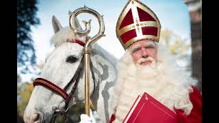 de beste Sinterklaas liedjes [upl. by Alo]