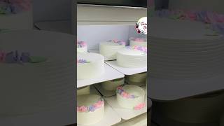 6 മണിക്കൂറിൽ 12 Cakes cakes baking cakerecipe reels shorts bulkorder business [upl. by Calmas]