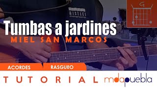 Tumbas a jardines  Miel San Marcos Elevation Worship  Tutorial guitarra acordes rasgueo [upl. by Phira]