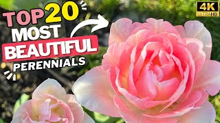 20 Most Beautiful Long Blooming Perennial Flowers for Your Garden 2 Bonus Plants 4K [upl. by Suez]