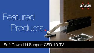 Soft Down Lid Support CSD10TV [upl. by Rodgers688]