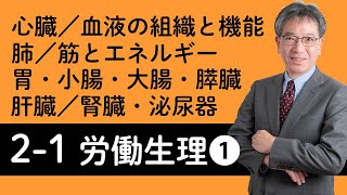 【労働生理①】心臓、血液の組織と機能、肺、筋とエネルギー、胃・小腸・大腸・膵臓、肝臓、腎臓・泌尿器について村中先生がやさしく解説！ [upl. by Aramenta]