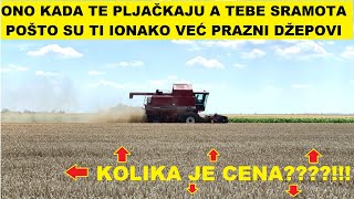 Jako rana žetva stočnog ječma [upl. by Tynan]