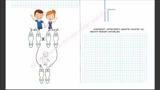 HOMOLOG KROMOZOM NEDİR [upl. by Annerb]