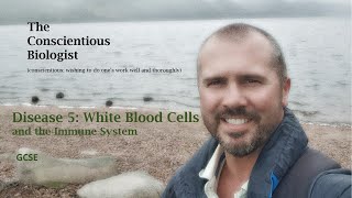 Disease 5 White Blood Cells and the Immune System [upl. by Hernando]