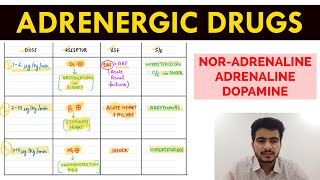 Autonomic Pharmacology  15  NorAdrenaline  Adrenaline amp Dopamine  EOMS [upl. by Clayborne510]