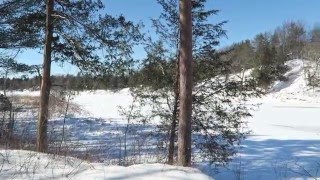 Cross Country Skiing Pinery Provincial Park  February 14th 2016 [upl. by Nnaycnan]