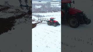 Case IH Optum 300 cvx  Lemekn EurOpal 8 [upl. by Retsbew]