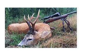 Rehbockjagd in Blattzeit in Rumänien 2016  Bukkejagt i Rumænien i 2016  Roebuck hunting in Romania [upl. by Oaks46]