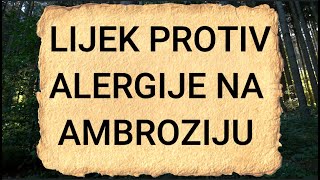 Kako se boriti protiv alergije  LIJEK PROTIV ALERGIJE NA AMBROZIJU  Recept alergija [upl. by Goda]