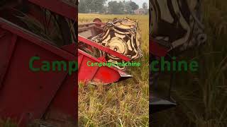 Campaign machine 👩‍🌾🥰 amazing paddy harvesting technology shortvideo [upl. by Stead160]