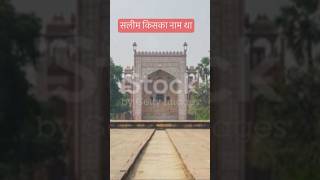 सलीम किसका नाम था salim jahangirmughal indianempire facts shortsviral mughaldynasty agrafort [upl. by O'Dell]