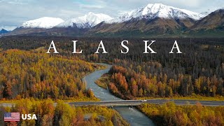 DZIKA ALASKA ⛰️ NIEPOWTARZALNA JESIEŃ S01E21 [upl. by Sylram]