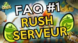 OPTIMISER SON RUSH SERVEUR DOFUS UNITY  FAQ DU LUNDI  1 [upl. by Ranice]