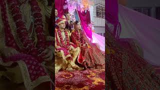 song Tera bimar Mera Dil cute couple please like subscribe comment subscribe my channel thank you [upl. by Ybbor]