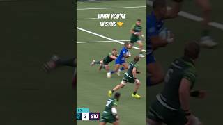 The Stormers have that connection 🤝 rugby rugbyunion springboks [upl. by Nyra]