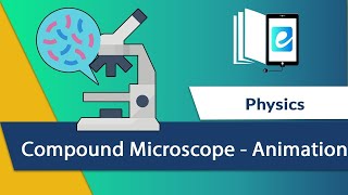 Understanding the Compound Microscope Animated  Construction Components and Working Explained [upl. by Rakia685]