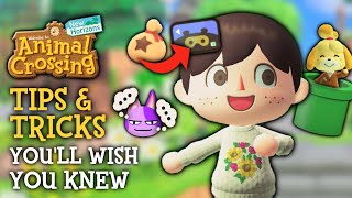 Tips amp Tricks I WISH I Knew Sooner in Animal Crossing New Horizons [upl. by Ettenuj889]