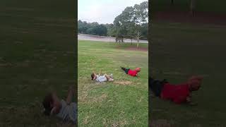 Game start parramatta park rollypolly play song trendingshorts dhian4797 [upl. by Manup]