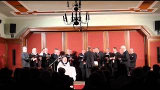 Waldviertlerlied  Männerchor quotLiedertafel Senftenbergquot [upl. by Atnahsa32]