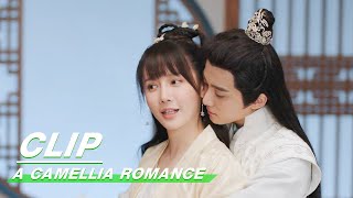 Clip Its Time For Us To Have A Baby  A Camellia Romance EP12  许纯纯的茶花运  iQiyi [upl. by Michon]