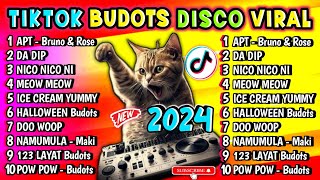 New TIKTOK BUDOTS DISCO PARTY VIRAL  APT NONSTOP 2024  DJ DARVIN REMIX [upl. by Irafat485]