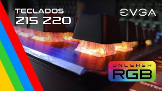 Teclados para Gaming EVGA Z15  Z20  RGB  Mecánico  Optomecánico [upl. by Katharina]