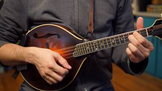 Beginner Mandolin Lessons Series Part Two First Chords [upl. by Assenyl318]