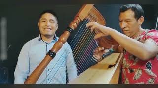 HUAYNO SENTIMENTAL ARPA amp VIOLIN  QANTUCHA DE PARINACOCHAS amp ANDRES ATOCCSA [upl. by Atteroc]