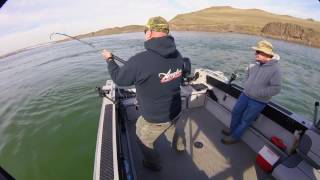 McNary Dam Sturgeon Fishing 2016 on the Columbia River [upl. by Fredek]