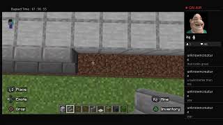 Minecraft Stream [upl. by Woehick]