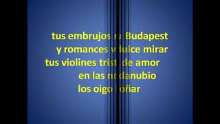 Amor en Budapest  Karaoke [upl. by Eihcir]