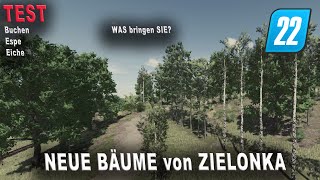 LS22 Test  die neuen Bäume Espe Buche uns Eiche von Zielonka im Test [upl. by Lindberg629]