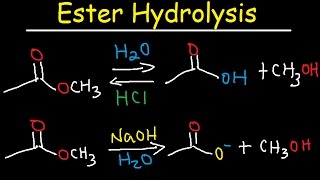 Ester Hydrolysis Reaction Mechanism  Acid Catalyzed amp Base Promoted Organic Chemistry [upl. by Meador]