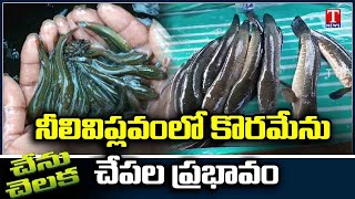 Chenu Chelaka  New Methods Of Koramenu Fish Farming  Koramenu Fish Farming By Parusharam  T News [upl. by Yalahs507]