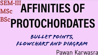 Affinities of protochordates I BSc I MSc I semesterIII zoology CHORDATES [upl. by Izabel]