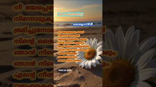 Today Bible Verses ഇന്നത്തെ വചനം GOD BLESS YOU bibleverse quotes peaceinjesus amen jesuschrist [upl. by Aniretac]