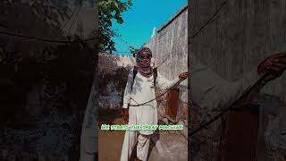 Village life short stories villagelife villageshortsvideo [upl. by Nomaid]