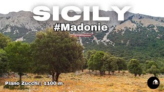 Italy 🇮🇹 Sicily  Madonie NP  Piano Zucchi 1100 m  LOCALITY [upl. by Aborn]