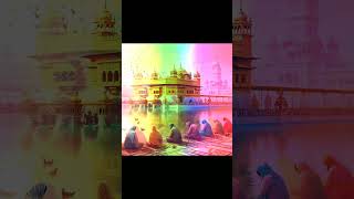 Ek tera he darbar sacha waheguruwaheguru darmikstatus youtubeshorts [upl. by Aime]