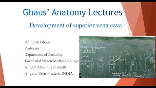 Development of Superior Vena Cava [upl. by Madelle]